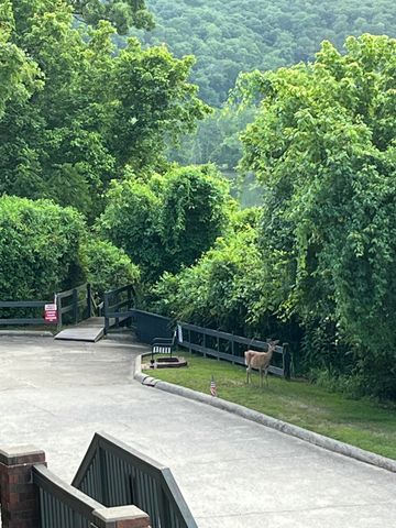 150 Sunken Forest Drive 10-245, Forsyth, MO 65653