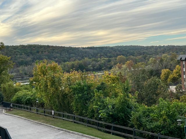 150 Sunken Forest Drive 10-245, Forsyth, MO 65653