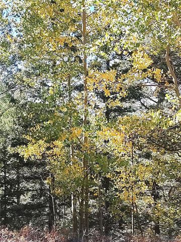 Lot 5374, Fort Garland, CO 81133