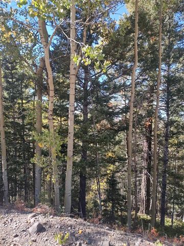 Lot 5374, Fort Garland, CO 81133