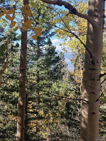 Lot 5374, Fort Garland, CO 81133