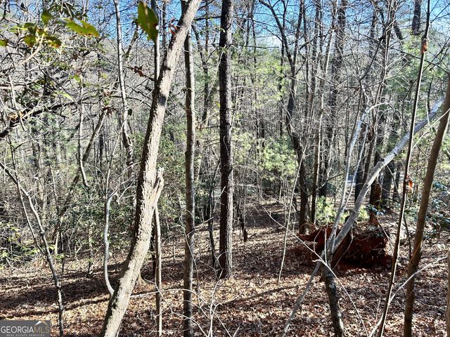 0 Bahn Innsbruck, Helen, GA 30545