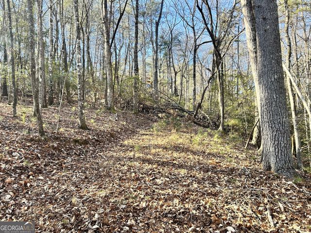 0 Bahn Innsbruck, Helen, GA 30545