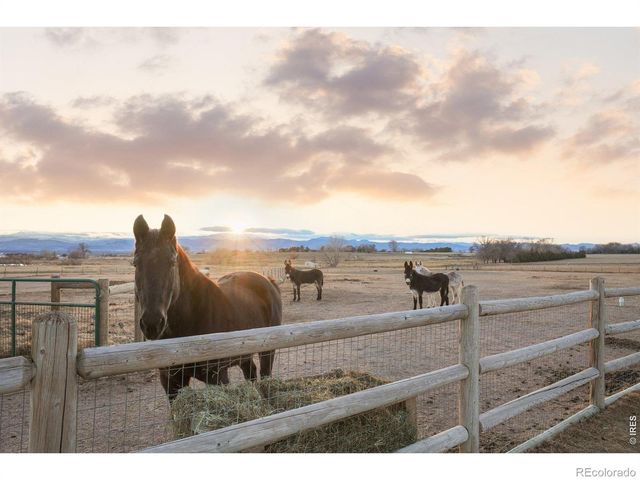 2345 N County Road 3, Fort Collins, CO 80524