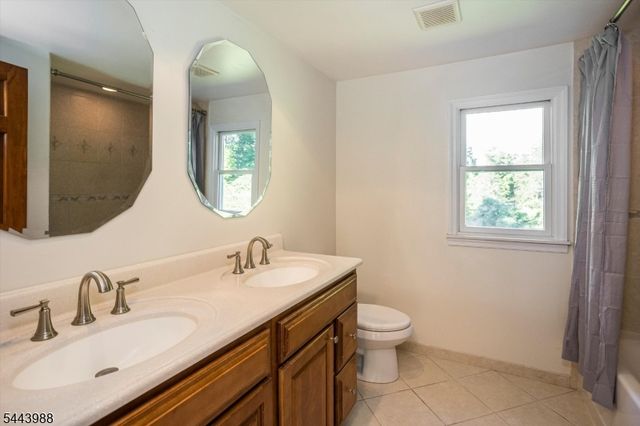 16 Chester Place, Chester Twp., NJ 07930