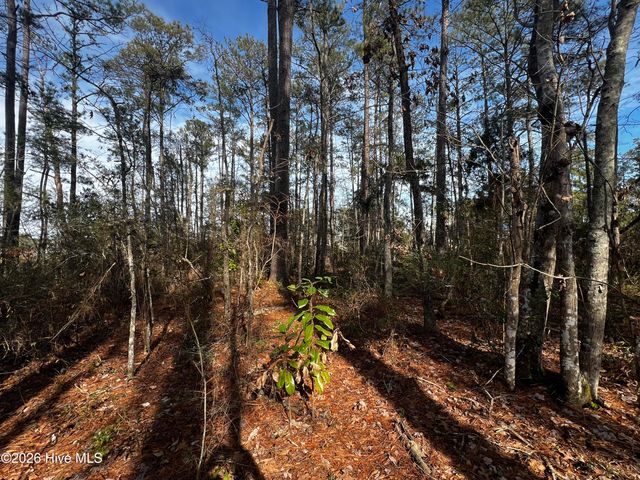 0 Fairwinds Drive, Oriental, NC 28571