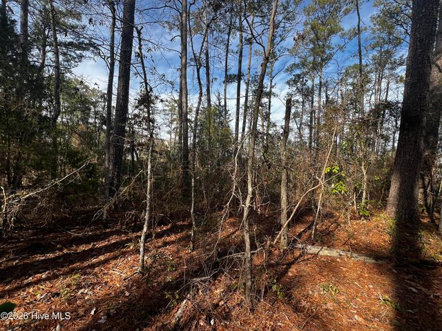 0 Fairwinds Drive, Oriental, NC 28571