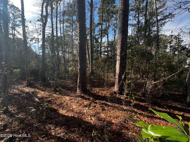 0 Fairwinds Drive, Oriental, NC 28571