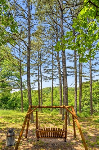 21006 State Highway E, Eagle Rock, MO 65641