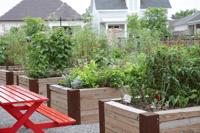 1804 Dauphine St, Baton Rouge, LA 70808