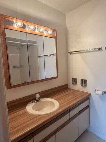 1950 CHERRY Lane 316, Northbrook, IL 60062
