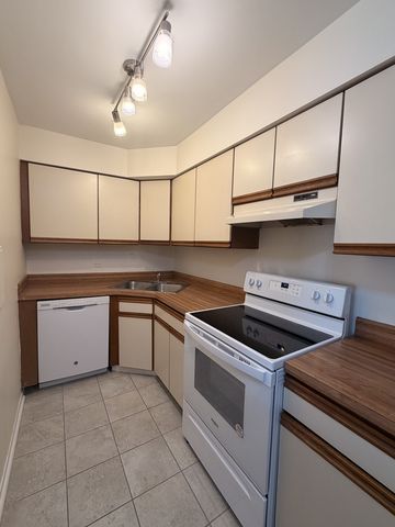 1950 CHERRY Lane 316, Northbrook, IL 60062