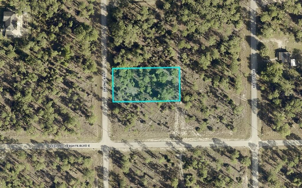 102 IRVING AVENUE, Lehigh Acres, FL 33936