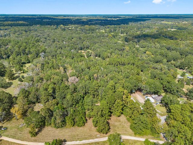 7105 Mount Zion Road, New Waverly, TX 77358