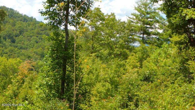 16 Tyler Ridge, Murphy, NC 28906