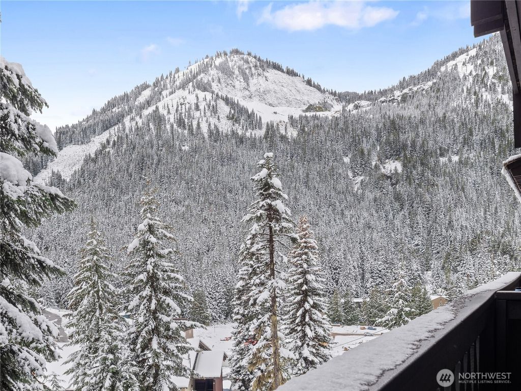 33613 Crystal Mountain Boulevard E #510, Enumclaw, WA 98022