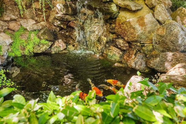 433 Tee Ct, Healdsburg, CA 95448