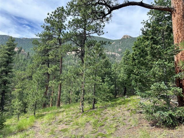 116 Happy Valley, Manitou Springs, CO 80829