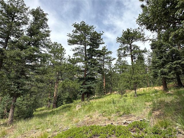 116 Happy Valley, Manitou Springs, CO 80829