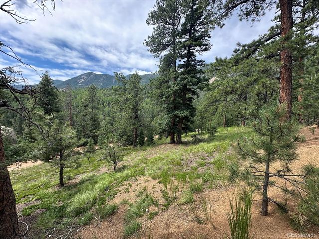 116 Happy Valley, Manitou Springs, CO 80829