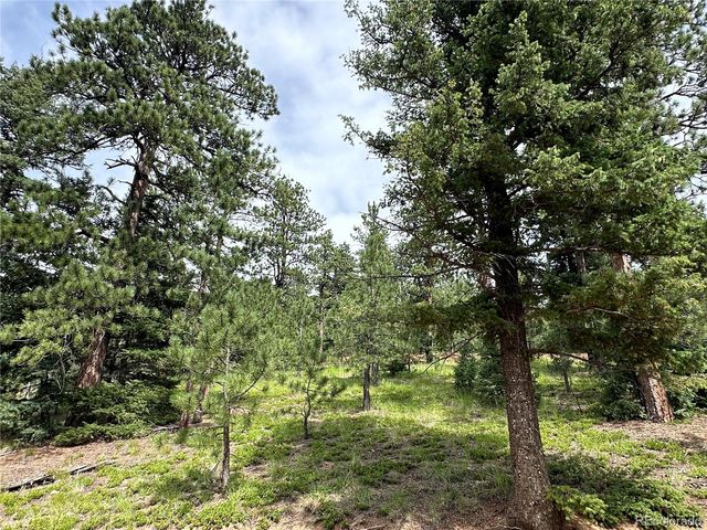 116 Happy Valley, Manitou Springs, CO 80829