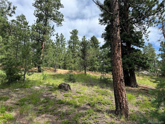 116 Happy Valley, Manitou Springs, CO 80829