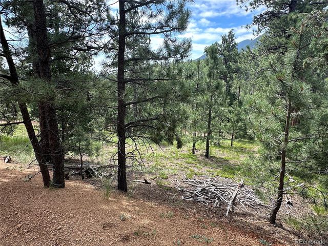 116 Happy Valley, Manitou Springs, CO 80829