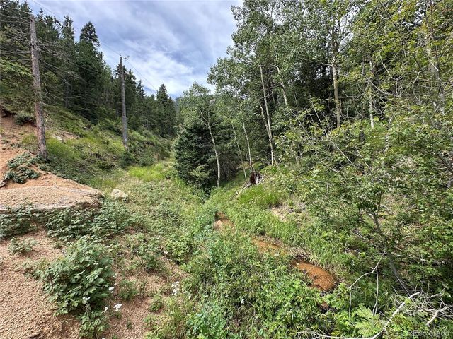 116 Happy Valley, Manitou Springs, CO 80829