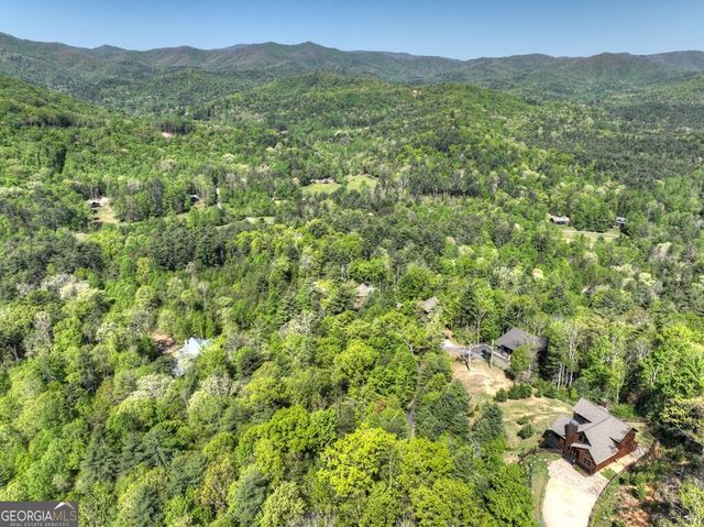 459 Quail Ridge Road, Blue Ridge, GA 30513