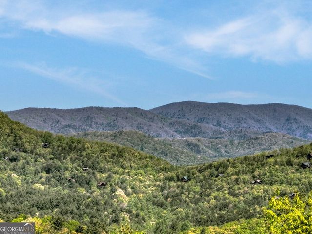 459 Quail Ridge Road, Blue Ridge, GA 30513