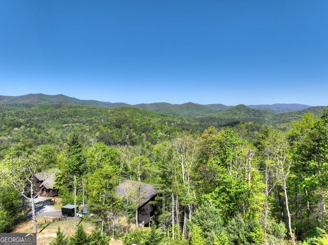 459 Quail Ridge Road, Blue Ridge, GA 30513