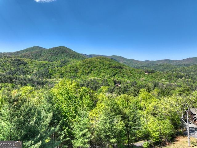 459 Quail Ridge Road, Blue Ridge, GA 30513