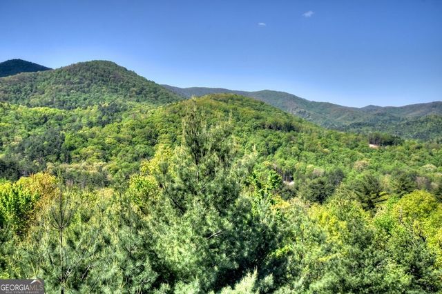 459 Quail Ridge Road, Blue Ridge, GA 30513