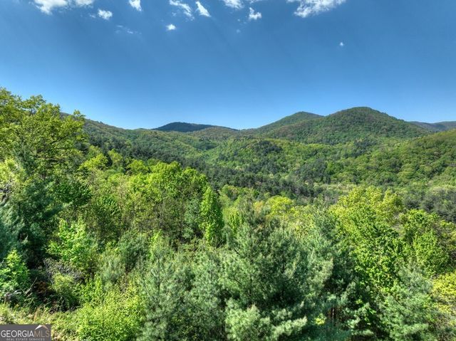 459 Quail Ridge Road, Blue Ridge, GA 30513