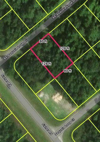 Lot 39 SE SEQUOIA LOOP DRIVE, Ocklawaha, FL 32179