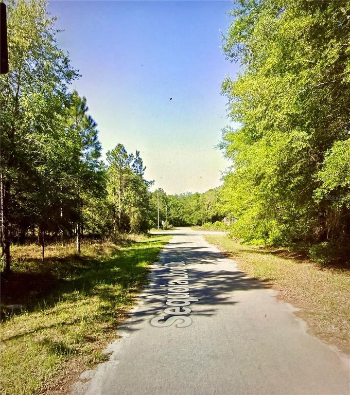 Lot 39 SE SEQUOIA LOOP DRIVE, Ocklawaha, FL 32179