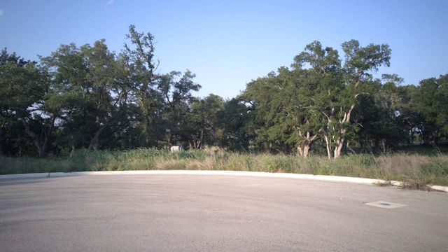 115 W Rio Ranch RD, Liberty Hill, TX 78642