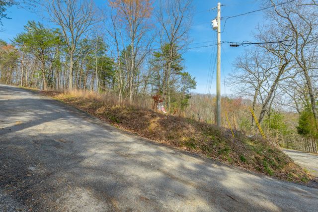 00 William Drive, Spring City, TN 37381