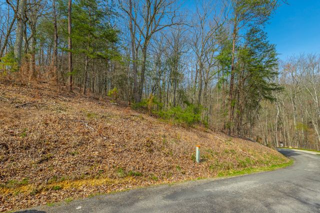 00 William Drive, Spring City, TN 37381