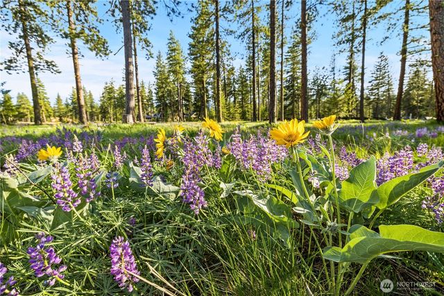 88 Wanawish Loop, Cle Elum, WA 98922