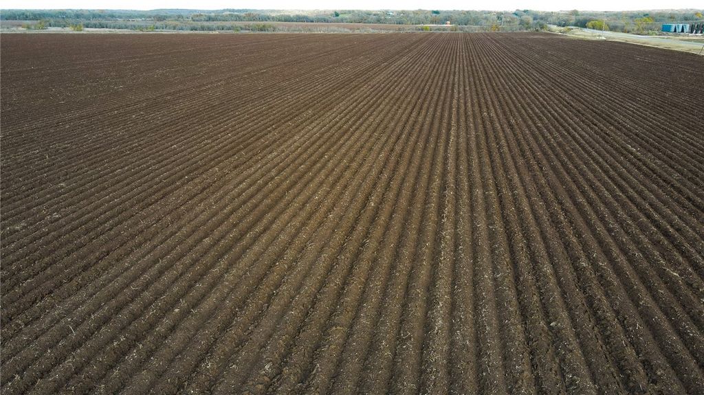 0000 Sandy Point Road, Bryan, TX 77807 — photo 4