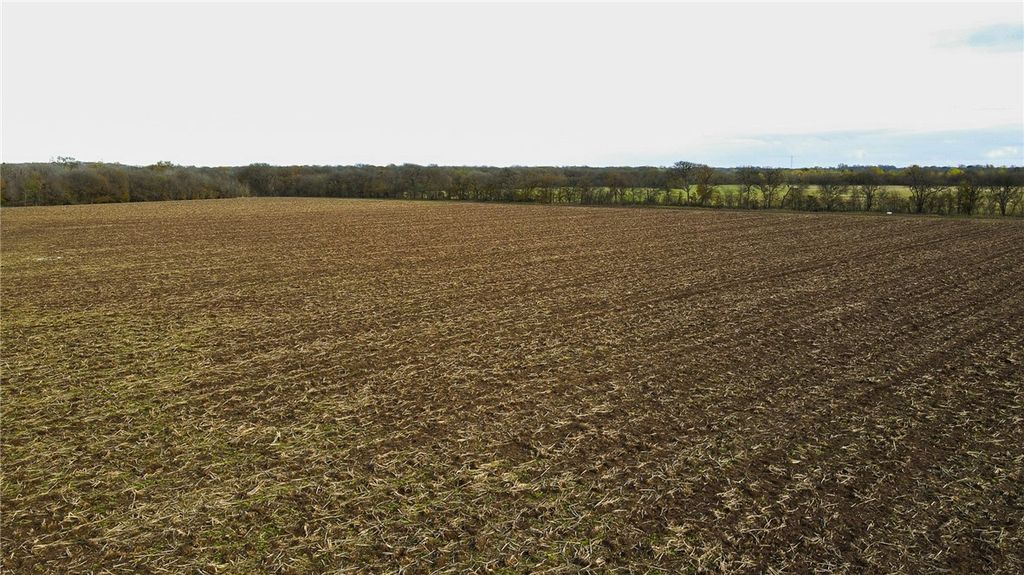 0000 Sandy Point Road, Bryan, TX 77807 — photo 5