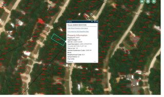 292 Moonlite Drive, Livingston, TX 77351