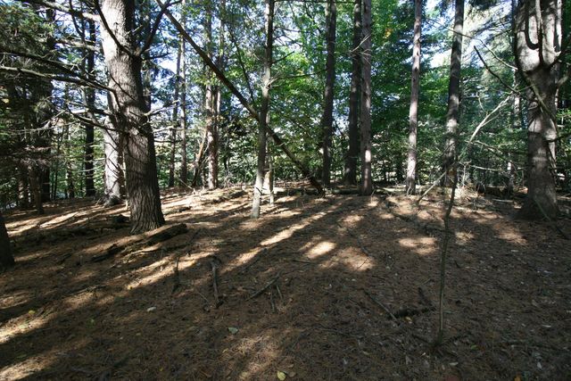 B.1 111th Avenue, South Haven, MI 49090