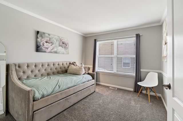 24240 Lavergne Street, Plainfield, IL 60585