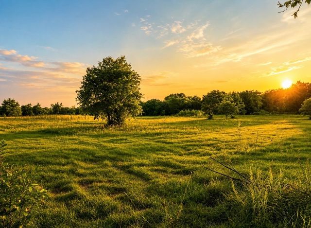 3288 County Road 136, Whitesboro, TX 76273