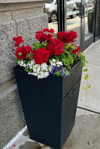 406 Wacouta Street 107, Saint Paul, MN 55101