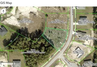 12635 SUNSET WOODS DRIVE, Spring Hill, FL 34609