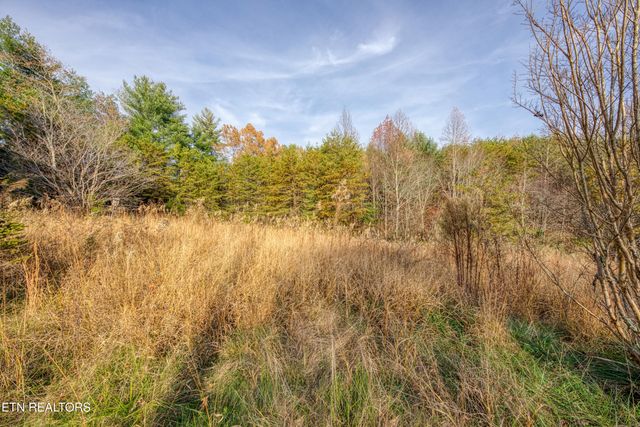 533 Epperson Rd, Tellico Plains, TN 37385