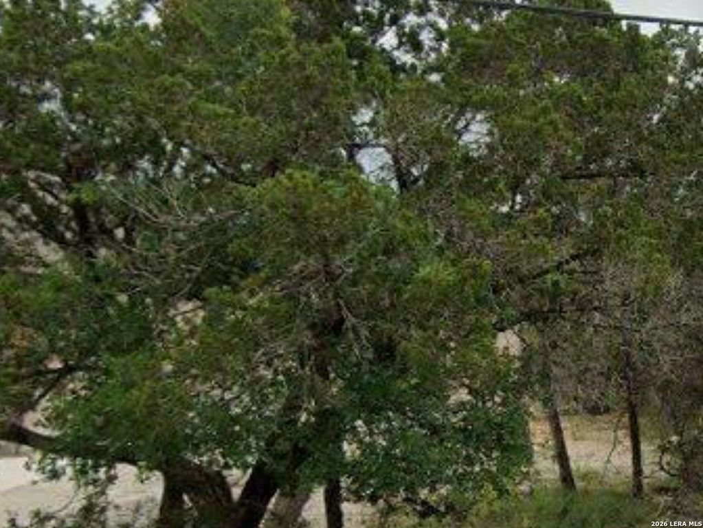 1075 Hedgestone, Canyon Lake, TX 78133